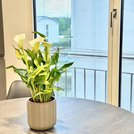 Apartamento Sunny Florença